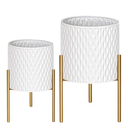 Plants Pots with Stand (2 Count)
