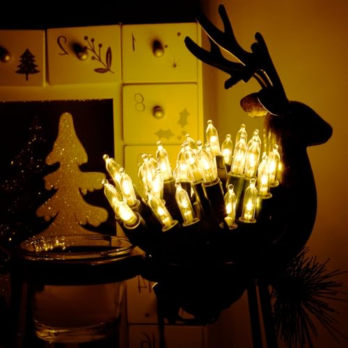 2 Packs 50 LED Warm White Christmas String Lights