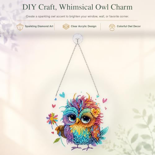 Owl Diamond Art Kits for Adults