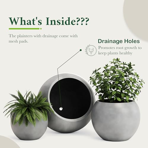 Premium Mt Sherman Fiberstone Sphere Planter for Indoor Outdoor Use