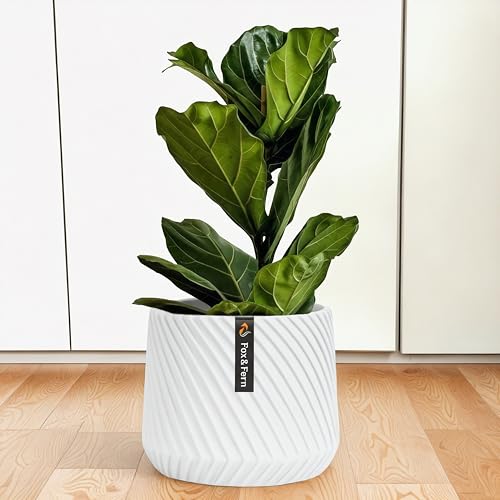 Large Planter for Indoor or Outdoor