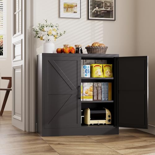 Black Storage Cabinet with Doors and Adjustable Shelves