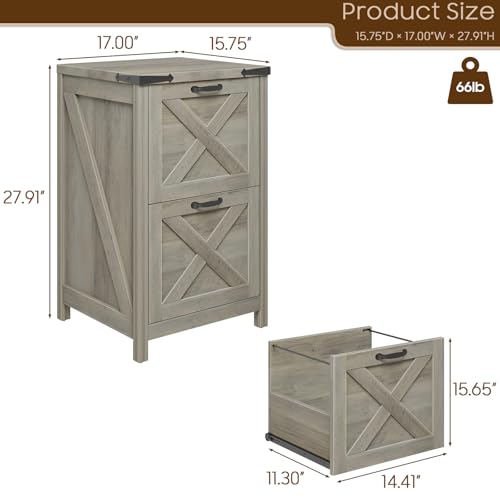 Vertical File Cabinet with 2 Drawers for Home Office