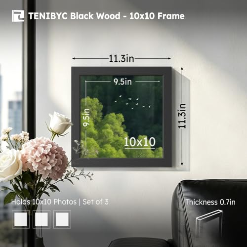 10x10 picture frame 3 Pack (3 Count)