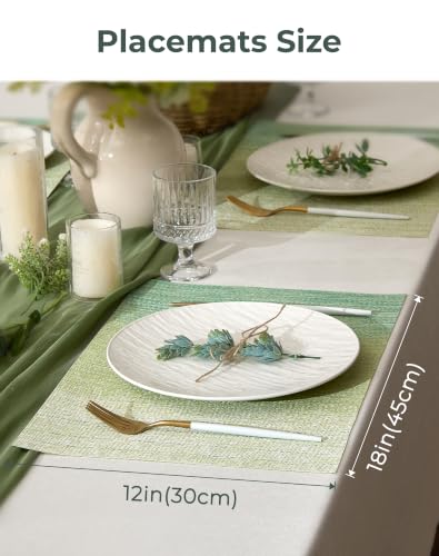 Gradient Green Woven Placemats Set of 4 (3.2 Count)