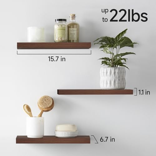 Floating Shelves for Wall