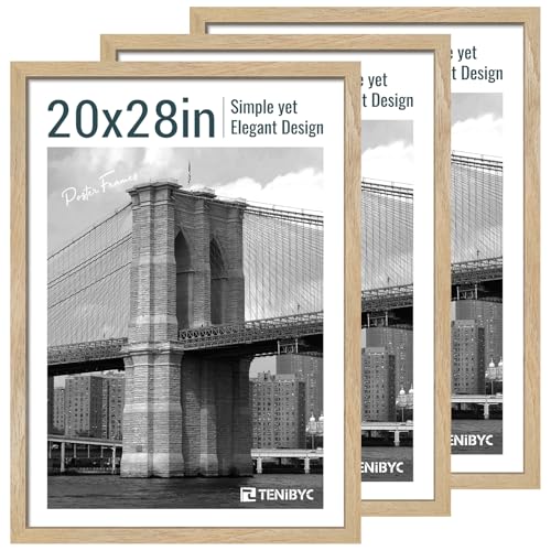 20x28 Picture Frame (3 Count)