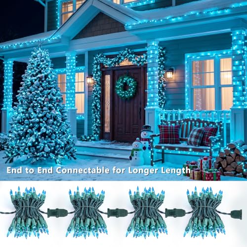 Teal Christmas Lights Outdoor 100 Count 19.7ft Incandescent Lights