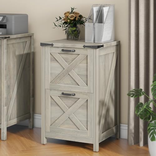 Vertical File Cabinet with 2 Drawers for Home Office