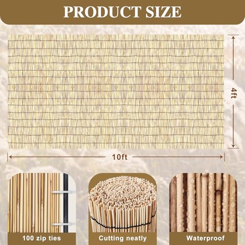 Bamboo Fence Bamboo Screens Outdoor for Patio (40 Sq Ft)