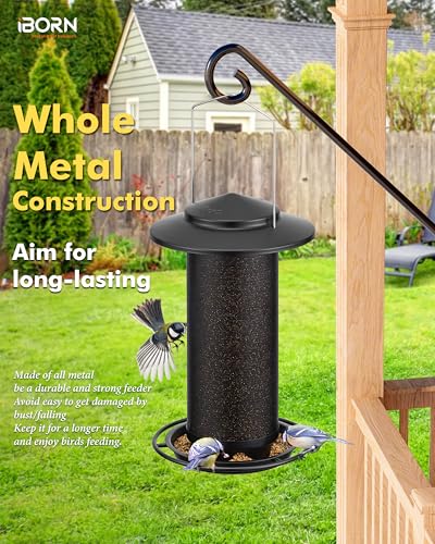 Bird Feeders for Outdoors