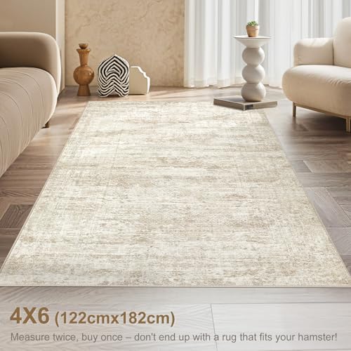 4x6 Area Rug Living Room Rugs