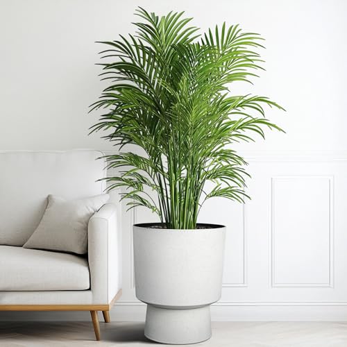 Autodaya 16.75" Urn