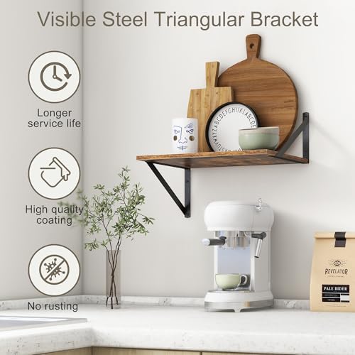 Floating Shelves 16 Inch Long (3 Count)