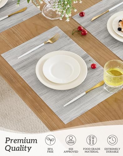 Lightsteel Black Placemats Set of 12 (12 Count)