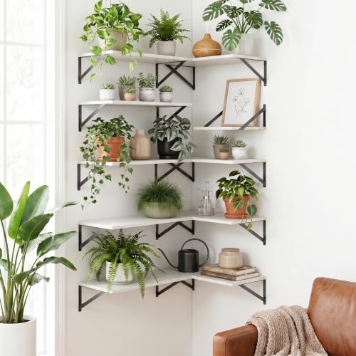 White Floating Shelves 16 Inch Long