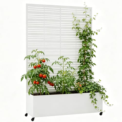 Metal Planter Box with Trellis Privacy Screen
