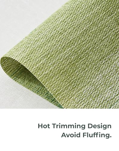 Gradient Green Woven Placemats Set of 4 (3.2 Count)