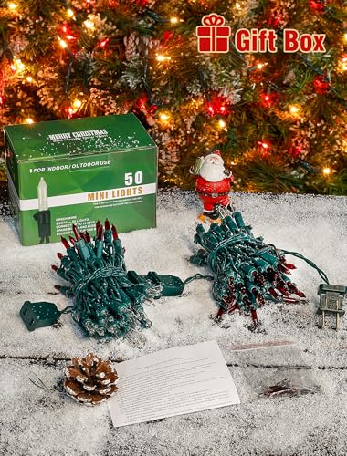 2 Pack Total 26 FT 100 Count Christmas Lights Indoor (26 Foot)