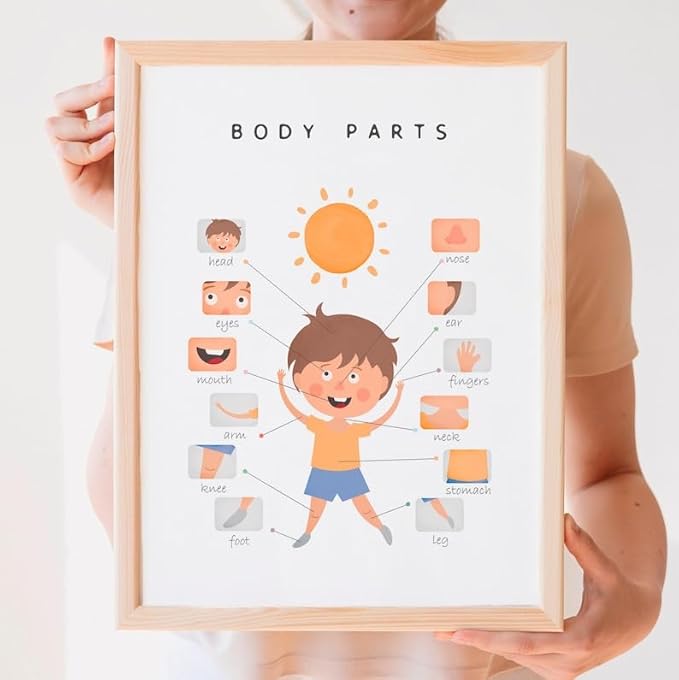 OZCONO Body Parts Poster for Kids Learning, Educational Classroom Wall Chart for Preschool, Toddler, Montessori Nursery Teaching Resource (Unframed) (24x36)