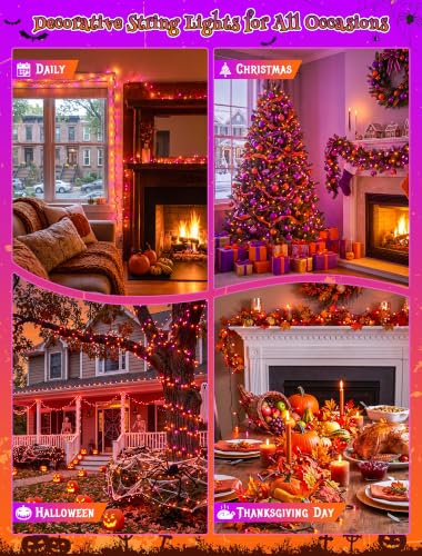 Orange and Purple Halloween Lights (50 Count)