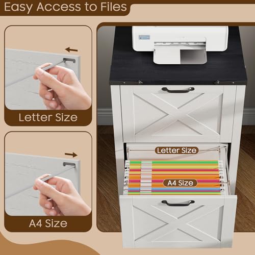 Vertical File Cabinet with 2 Drawers