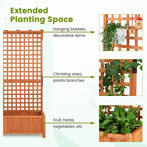 2 Pcs Raised Garden Bed with Trellis (2 Count)