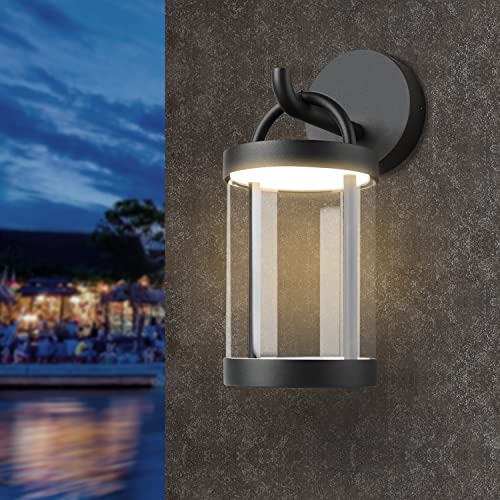 LED Wall Sconce Light Outdoor