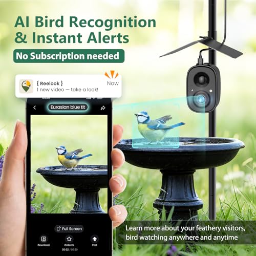 Smart Bird Camera Solar Powered with Pole for Feeder