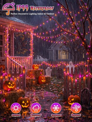 Orange and Purple Halloween Lights (50 Count)