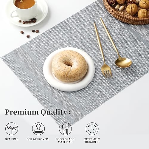 Lunar Grey Placemats Set of 12 (12 Count)