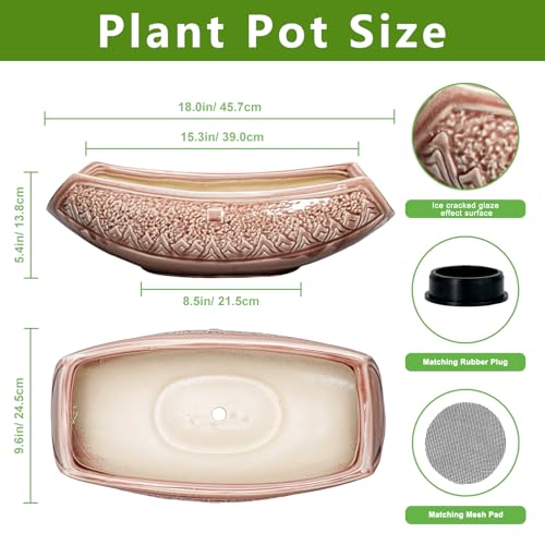 Large Bonsai Pots