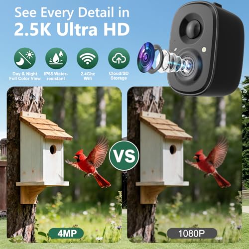 Smart Bird Camera Solar Powered with Pole for Feeder