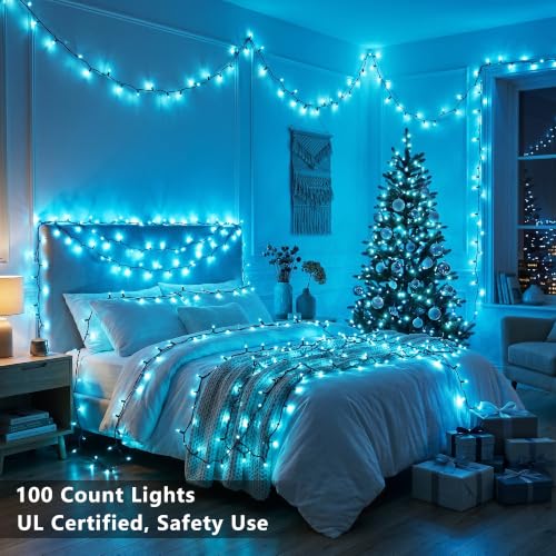 Teal Christmas Lights Outdoor 100 Count 19.7ft Incandescent Lights