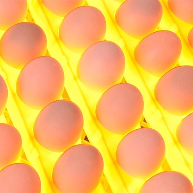 56 Egg Incubator Automatic Turning Digital Poultry Hatcher Temperature Humidity Control Built-in LED Egg Candler, for Chicken Duck Goose(