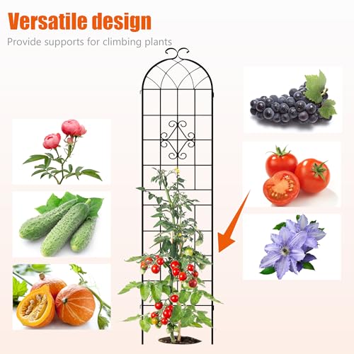 78.4 x 80in Rustic Iron Arch Decoration Garden Trellis with Black Metal Coating (4 Count)