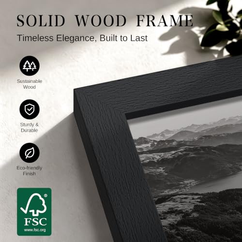 22x28 Frame Black Wood Poster Frame for Wall Display
