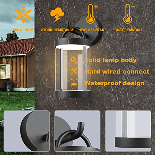 LED Wall Sconce Light Outdoor