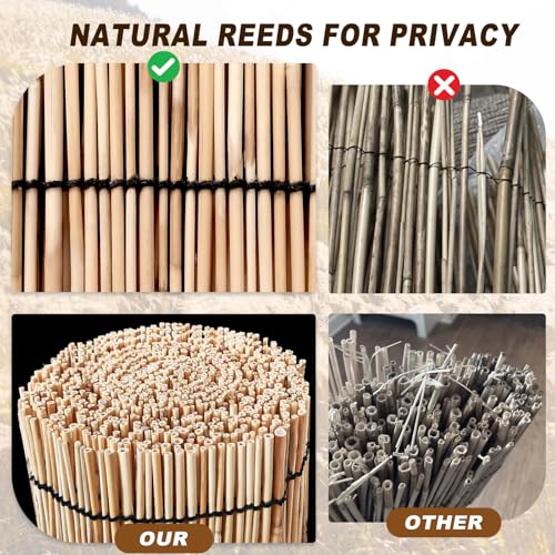 Bamboo Fencing (32 Sq Ft)