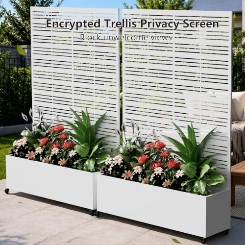 Metal Planter Box with Trellis Privacy Screen