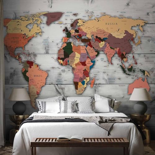 Wall Mural World Map 173x124 in (149.51 Sq Ft)