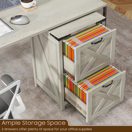 Vertical File Cabinet with 2 Drawers for Home Office