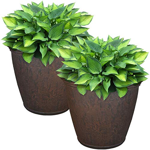 Sunnydaze Anjelica 15.25'' Large Plastic Planter Pot for Plants (2 Count)