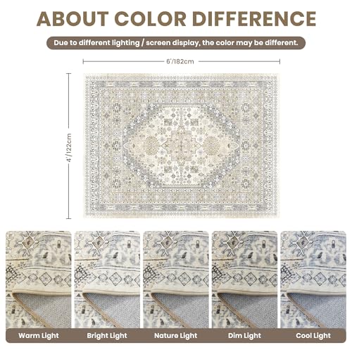 4x6 Area Rug for Entryway