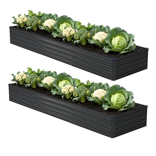 12x2x1ft 2 Pack