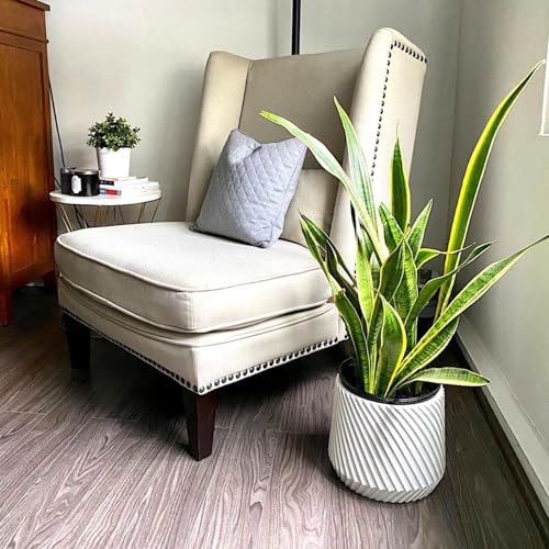 Large Planter for Indoor or Outdoor