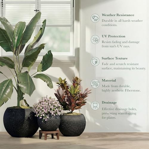 Premium Mt Sherman Fiberstone Sphere Planter for Indoor Outdoor Use