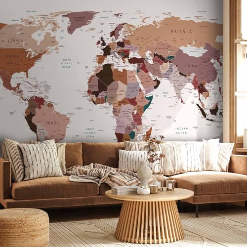 Wall Mural World Map 173x124 in (149.51 Sq Ft)