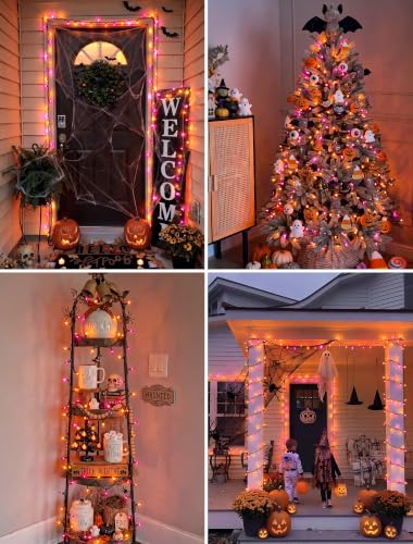 Purple & Orange Halloween Lights (13 Foot)