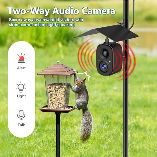 Smart Bird Camera Solar Powered with Pole for Feeder